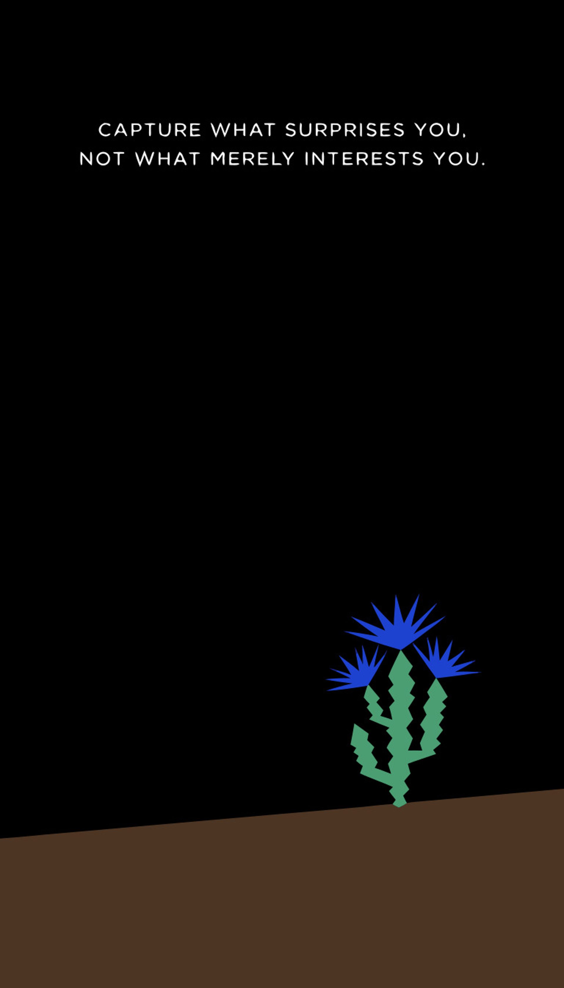 Story snap 12
